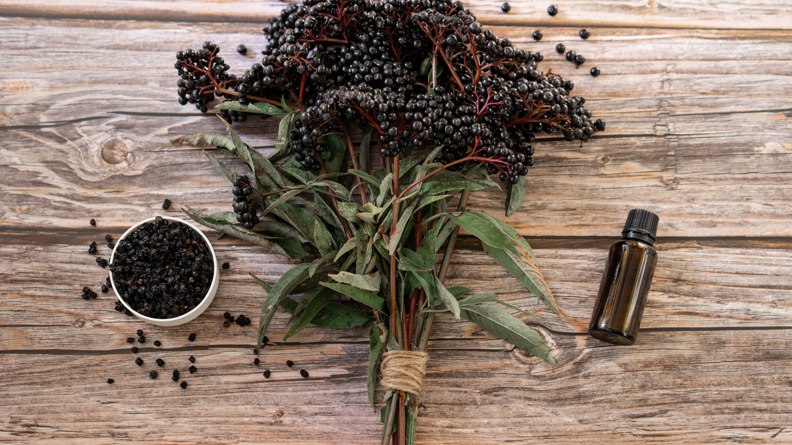 Elderberry: Protecting From Oxidative Stress