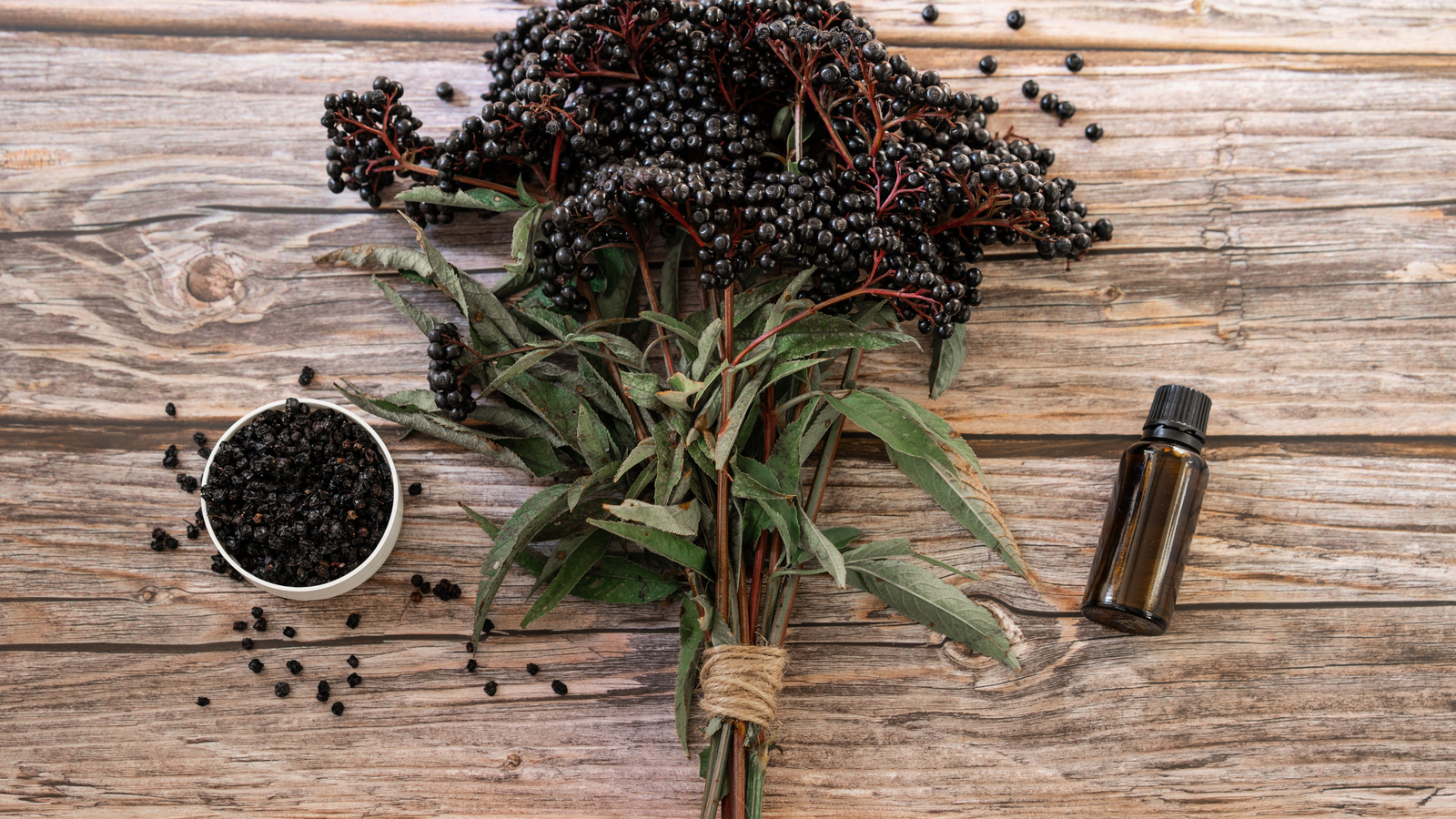 Elderberry:  Protecting From Oxidative Stress