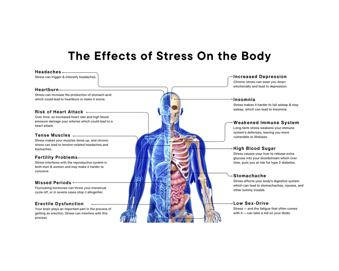 Relax & Super Immune