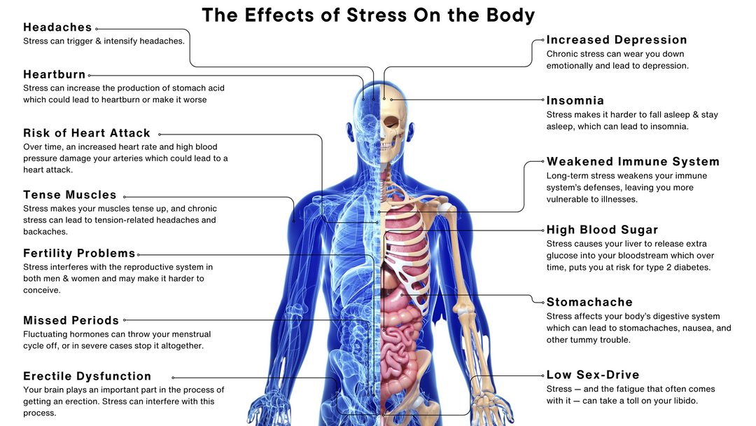 Stay Well Relax